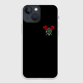 Чехол для iPhone 13 mini с принтом PAYTON MOORMEIER (НА СПИНЕ) в Белгороде,  |  | flower | payton moormeier | roses | tiktok | автограф payton | блогер | пейтон | пейтон моормиер | розы | тикток | тиктокер | цветы | ютубер