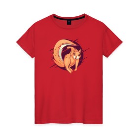 Женская футболка хлопок с принтом Злая Белочка в Белгороде, 100% хлопок | прямой крой, круглый вырез горловины, длина до линии бедер, слегка спущенное плечо | angry | squirrel | wild | белка | белки | белочки | дикая | злая