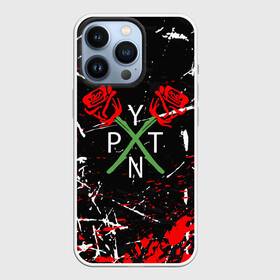 Чехол для iPhone 13 Pro с принтом PAYTON MOORMEIER   ТИКТОК в Белгороде,  |  | payton moormeier | tiktok | блогер | пейтон | пейтон моормиер | тикток | тиктокер | ютубер