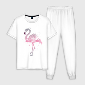 Мужская пижама хлопок с принтом Flamingo в Белгороде, 100% хлопок | брюки и футболка прямого кроя, без карманов, на брюках мягкая резинка на поясе и по низу штанин
 | абстракция | акварель | арт | градиент | животные | минимализм | птицы | фламинго | экзотика | экзотические животные | экзотические птицы