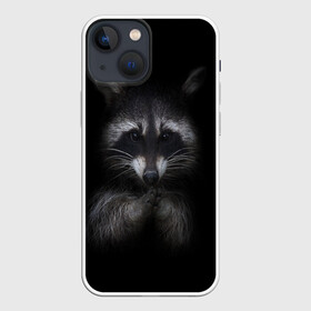 Чехол для iPhone 13 mini с принтом енот в Белгороде,  |  | Тематика изображения на принте: енот | енот хайп | еноты | животные | лайв тудей