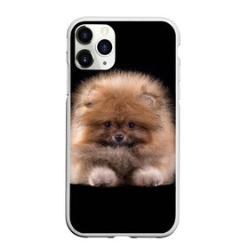 Чехол для iPhone 11 Pro матовый с принтом Рыжий Шпиц в Белгороде, Силикон |  | детская | женская | купить | мужская | пес | рисунки щенков | рыжий | с принтом | с собаками | с собакой | со шпицами | со щенком | собака | собаки | шпиц | щенок