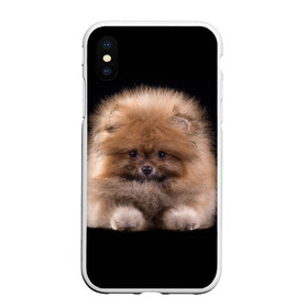 Чехол для iPhone XS Max матовый с принтом Рыжий Шпиц в Белгороде, Силикон | Область печати: задняя сторона чехла, без боковых панелей | детская | женская | купить | мужская | пес | рисунки щенков | рыжий | с принтом | с собаками | с собакой | со шпицами | со щенком | собака | собаки | шпиц | щенок