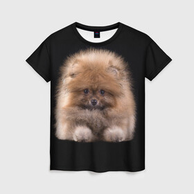 Женская футболка 3D с принтом Рыжий Шпиц в Белгороде, 100% полиэфир ( синтетическое хлопкоподобное полотно) | прямой крой, круглый вырез горловины, длина до линии бедер | детская | женская | купить | мужская | пес | рисунки щенков | рыжий | с принтом | с собаками | с собакой | со шпицами | со щенком | собака | собаки | шпиц | щенок