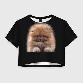 Женская футболка Crop-top 3D с принтом Рыжий Шпиц в Белгороде, 100% полиэстер | круглая горловина, длина футболки до линии талии, рукава с отворотами | детская | женская | купить | мужская | пес | рисунки щенков | рыжий | с принтом | с собаками | с собакой | со шпицами | со щенком | собака | собаки | шпиц | щенок