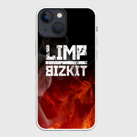 Чехол для iPhone 13 mini с принтом LIMP BIZKIT в Белгороде,  |  | dj lethal | limp bizkit | rock | джон отто | лимп бизкит | майк смит | музыка | роб уотерс | рок | сэм риверс | терри бальзамо | уэс борланд | фред дёрст
