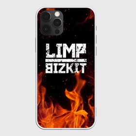 Чехол для iPhone 12 Pro Max с принтом LIMP BIZKIT в Белгороде, Силикон |  | dj lethal | limp bizkit | rock | джон отто | лимп бизкит | майк смит | музыка | роб уотерс | рок | сэм риверс | терри бальзамо | уэс борланд | фред дёрст