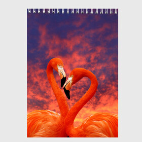Скетчбук с принтом Flamingo Love в Белгороде, 100% бумага
 | 48 листов, плотность листов — 100 г/м2, плотность картонной обложки — 250 г/м2. Листы скреплены сверху удобной пружинной спиралью | 14 февраля | 8 марта | валентинов день | верность | влюбленность | влюбленные | вместе | вместе навсегда | девушке | женат | женский день | женский праздник | закат | замужем | кружка | любимая