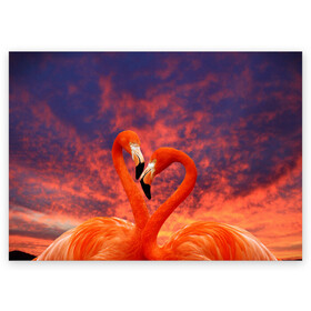 Поздравительная открытка с принтом Flamingo Love в Белгороде, 100% бумага | плотность бумаги 280 г/м2, матовая, на обратной стороне линовка и место для марки
 | 14 февраля | 8 марта | валентинов день | верность | влюбленность | влюбленные | вместе | вместе навсегда | девушке | женат | женский день | женский праздник | закат | замужем | кружка | любимая