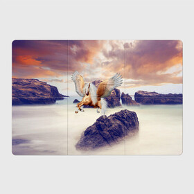 Магнитный плакат 3Х2 с принтом Sea Sunset Horse в Белгороде, Полимерный материал с магнитным слоем | 6 деталей размером 9*9 см | вечернее небо | закат | конь | крылатый | крылья | легенды | летающий | лошадь | мистический | мифология | мифы | море | морской | облака | облачность | пегас | плед | погода | подушка | скалы | сумка