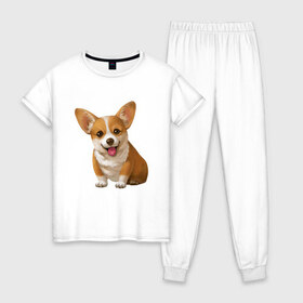 Женская пижама хлопок с принтом Корги в Белгороде, 100% хлопок | брюки и футболка прямого кроя, без карманов, на брюках мягкая резинка на поясе и по низу штанин | dogs | style | животные | корги | милые собаки | мимимишность | минимализм | модные | подарок | прикольные картинки | пушистая собака | собака | собаки | стиль | щенки