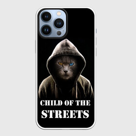 Чехол для iPhone 13 Pro Max с принтом Дитя улиц в Белгороде,  |  | Тематика изображения на принте: cat | gangster | балахон | глаза | дитя улиц | кот | котик | крутой | крутой принт | принт | с надписью | топ | тренд