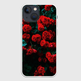 Чехол для iPhone 13 mini с принтом Розы в Белгороде,  |  | 8 марта | девушке | подарок | подруге | розы | цветы
