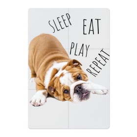 Магнитный плакат 2Х3 с принтом Sleep Eat Play Repeat (Бульдог) в Белгороде, Полимерный материал с магнитным слоем | 6 деталей размером 9*9 см | Тематика изображения на принте: bulldog | dog | puppy | sleep eat play repeat | английский бульдог | бульдог | бульдог английский | веселая собака | веселый щенок | игривый щенок | мысли с | мысли щенка | рыжая собака | рыжий щенок | собачья жизнь