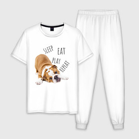 Мужская пижама хлопок с принтом Sleep Eat Play Repeat (Бульдог) в Белгороде, 100% хлопок | брюки и футболка прямого кроя, без карманов, на брюках мягкая резинка на поясе и по низу штанин
 | Тематика изображения на принте: bulldog | dog | puppy | sleep eat play repeat | английский бульдог | бульдог | бульдог английский | веселая собака | веселый щенок | игривый щенок | мысли с | мысли щенка | рыжая собака | рыжий щенок | собачья жизнь