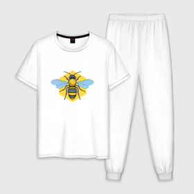 Мужская пижама хлопок с принтом будь шмелее в Белгороде, 100% хлопок | брюки и футболка прямого кроя, без карманов, на брюках мягкая резинка на поясе и по низу штанин
 | насекомые | настроение | прикольные надписи | пчела | шмель