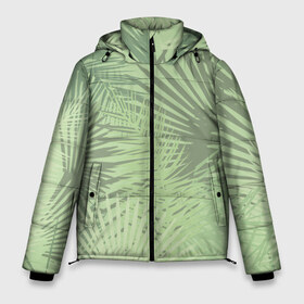 Мужская зимняя куртка 3D с принтом В джунгли в Белгороде, верх — 100% полиэстер; подкладка — 100% полиэстер; утеплитель — 100% полиэстер | длина ниже бедра, свободный силуэт Оверсайз. Есть воротник-стойка, отстегивающийся капюшон и ветрозащитная планка. 

Боковые карманы с листочкой на кнопках и внутренний карман на молнии. | Тематика изображения на принте: арт | джунгли | лес | леса | пальма | пальмы | папоротник