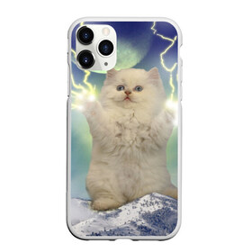 Чехол для iPhone 11 Pro Max матовый с принтом Грозовой Котик в Белгороде, Силикон |  | cat | cats | memes | гроза | грозовой | грозовой кошак | животные | кот | котенок | котик | котята | кошак | кошка | мем | мемы | молнии | молния | прикол | прикольные
