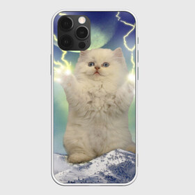 Чехол для iPhone 12 Pro Max с принтом Грозовой Котик в Белгороде, Силикон |  | Тематика изображения на принте: cat | cats | memes | гроза | грозовой | грозовой кошак | животные | кот | котенок | котик | котята | кошак | кошка | мем | мемы | молнии | молния | прикол | прикольные