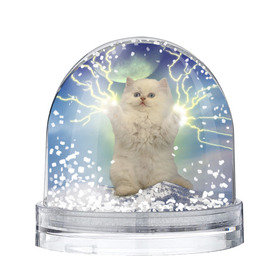 Снежный шар с принтом Грозовой Котик в Белгороде, Пластик | Изображение внутри шара печатается на глянцевой фотобумаге с двух сторон | cat | cats | memes | гроза | грозовой | грозовой кошак | животные | кот | котенок | котик | котята | кошак | кошка | мем | мемы | молнии | молния | прикол | прикольные