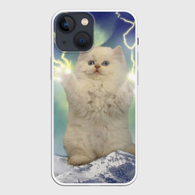 Чехол для iPhone 13 mini с принтом Грозовой Котик в Белгороде,  |  | cat | cats | memes | гроза | грозовой | грозовой кошак | животные | кот | котенок | котик | котята | кошак | кошка | мем | мемы | молнии | молния | прикол | прикольные