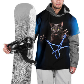 Накидка на куртку 3D с принтом Грозовой кошак(громовержец) в Белгороде, 100% полиэстер |  | Тематика изображения на принте: грозовой | громовержец | кот | кошак | молнии | разряды | черный