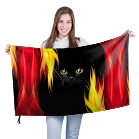 Флаг 3D с принтом Грозовой кошак в Белгороде, 100% полиэстер | плотность ткани — 95 г/м2, размер — 67 х 109 см. Принт наносится с одной стороны | глаза | грозовой | кот | кошак | молнии | пламя | разряды | черный