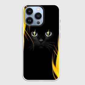 Чехол для iPhone 13 Pro с принтом Грозовой кошак в Белгороде,  |  | Тематика изображения на принте: глаза | грозовой | кот | кошак | молнии | пламя | разряды | черный