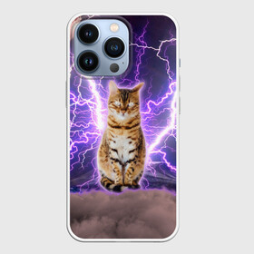 Чехол для iPhone 13 Pro с принтом Котушка Теслы в Белгороде,  |  | cat | lightning | lightning cat | tesla | арт с котом | грозовой кошак | катушка теслы | кот | кот мем | котейка | котушка теслы | котяра | кошак | кошка | мем с котом | молнии | тесла