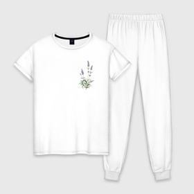 Женская пижама хлопок с принтом Lavanda в Белгороде, 100% хлопок | брюки и футболка прямого кроя, без карманов, на брюках мягкая резинка на поясе и по низу штанин | Тематика изображения на принте: лаванда | лавандовые цветы | милота | нежность | цветочки | цветы