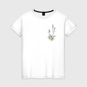 Женская футболка хлопок с принтом Lavanda в Белгороде, 100% хлопок | прямой крой, круглый вырез горловины, длина до линии бедер, слегка спущенное плечо | лаванда | лавандовые цветы | милота | нежность | цветочки | цветы