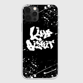 Чехол для iPhone 12 Pro Max с принтом LIMP BIZKIT в Белгороде, Силикон |  | Тематика изображения на принте: dj lethal | limp bizkit | rock | джон отто | лимп бизкит | майк смит | музыка | роб уотерс | рок | сэм риверс | терри бальзамо | уэс борланд | фред дёрст