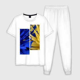 Мужская пижама хлопок с принтом Украинский акцент в Белгороде, 100% хлопок | брюки и футболка прямого кроя, без карманов, на брюках мягкая резинка на поясе и по низу штанин
 | жёлтый | намёк | пионы | синий | украина | украинский флаг | флаг | цвет | цвет флага | цветы