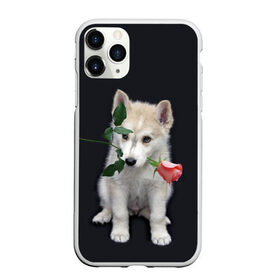 Чехол для iPhone 11 Pro Max матовый с принтом Щенок в подарок в Белгороде, Силикон |  | 8 марта щенок | husky | siberian husky | белый щенок | лайка | собака на день рождения | собака с розой | собака с цветком | хаски | щенок | щенок 8 марта | щенок лайки | щенок на 8 марта | щенок на день рождения