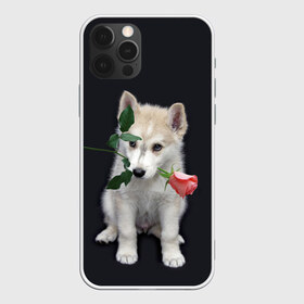 Чехол для iPhone 12 Pro Max с принтом Щенок в подарок в Белгороде, Силикон |  | Тематика изображения на принте: 8 марта щенок | husky | siberian husky | белый щенок | лайка | собака на день рождения | собака с розой | собака с цветком | хаски | щенок | щенок 8 марта | щенок лайки | щенок на 8 марта | щенок на день рождения