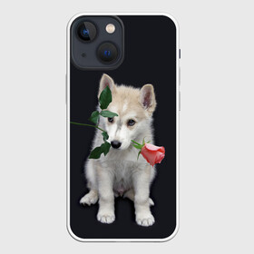 Чехол для iPhone 13 mini с принтом Щенок в подарок в Белгороде,  |  | 8 марта щенок | husky | siberian husky | белый щенок | лайка | собака на день рождения | собака с розой | собака с цветком | хаски | щенок | щенок 8 марта | щенок лайки | щенок на 8 марта | щенок на день рождения