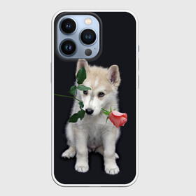 Чехол для iPhone 13 Pro с принтом Щенок в подарок в Белгороде,  |  | 8 марта щенок | husky | siberian husky | белый щенок | лайка | собака на день рождения | собака с розой | собака с цветком | хаски | щенок | щенок 8 марта | щенок лайки | щенок на 8 марта | щенок на день рождения