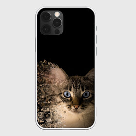 Чехол для iPhone 12 Pro Max с принтом Disintegrating Cat в Белгороде, Силикон |  | cat | азулес | атомный кот | голубоглазая кошка | голубоглазый кот | голубоглазый котик | кот | кот к | кот распадающийся на атомы | кот с голубыми глазами | котик | котэ | кошак | кошачий портрет