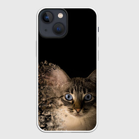 Чехол для iPhone 13 mini с принтом Disintegrating Cat в Белгороде,  |  | cat | азулес | атомный кот | голубоглазая кошка | голубоглазый кот | голубоглазый котик | кот | кот к | кот распадающийся на атомы | кот с голубыми глазами | котик | котэ | кошак | кошачий портрет