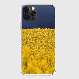 Чехол для iPhone 12 Pro Max с принтом Рапсовое поле в Белгороде, Силикон |  | rappsfeld | жёлтые | жёлтый | небеса | небесный | небо | поле | поля | природа | природные | природный | рапсовое | растение | растения | синие | синий | украина | украинский