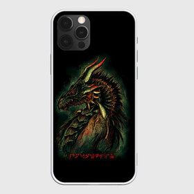 Чехол для iPhone 12 Pro Max с принтом THE ELDER SCROLLS в Белгороде, Силикон |  | dovahkiin | dragonborn | fus ro dah | rpg | skyrim | tes | tes skyrim | the elder scrolls | the elder scrolls skyrim | докавин | рпг | скайрим