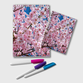 Блокнот с принтом Цветущая Сакура в Белгороде, 100% бумага | 48 листов, плотность листов — 60 г/м2, плотность картонной обложки — 250 г/м2. Листы скреплены удобной пружинной спиралью. Цвет линий — светло-серый
 | 8 марта | весна | вишня | женский день | лепестки | март | поздравления | праздник 8 марта | ромашки | сакура | цветок | цветочки | цветы | япония
