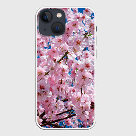 Чехол для iPhone 13 mini с принтом Цветущая Сакура в Белгороде,  |  | 8 марта | весна | вишня | женский день | лепестки | март | поздравления | праздник 8 марта | ромашки | сакура | цветок | цветочки | цветы | япония