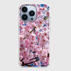 Чехол для iPhone 13 Pro с принтом Цветущая Сакура в Белгороде,  |  | 8 марта | весна | вишня | женский день | лепестки | март | поздравления | праздник 8 марта | ромашки | сакура | цветок | цветочки | цветы | япония