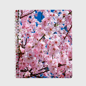 Тетрадь с принтом Цветущая Сакура в Белгороде, 100% бумага | 48 листов, плотность листов — 60 г/м2, плотность картонной обложки — 250 г/м2. Листы скреплены сбоку удобной пружинной спиралью. Уголки страниц и обложки скругленные. Цвет линий — светло-серый
 | 8 марта | весна | вишня | женский день | лепестки | март | поздравления | праздник 8 марта | ромашки | сакура | цветок | цветочки | цветы | япония