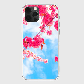 Чехол для iPhone 12 Pro Max с принтом Цветение Вишни в Белгороде, Силикон |  | flowers | pink | бутоны | весна | вишня | дерево | листья | небо | облака | природа | розовый | сакура | солнце | цветение | цветочки | цветы