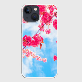 Чехол для iPhone 13 mini с принтом Цветение Вишни в Белгороде,  |  | flowers | pink | бутоны | весна | вишня | дерево | листья | небо | облака | природа | розовый | сакура | солнце | цветение | цветочки | цветы