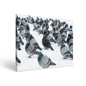 Холст прямоугольный с принтом Голуби в Белгороде, 100% ПВХ |  | bird | pigeon | russia | snow | winter | голубь | животные | зима | курлык | птицы | россия | снег | текстура | фон | фотография