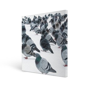 Холст квадратный с принтом Голуби в Белгороде, 100% ПВХ |  | bird | pigeon | russia | snow | winter | голубь | животные | зима | курлык | птицы | россия | снег | текстура | фон | фотография