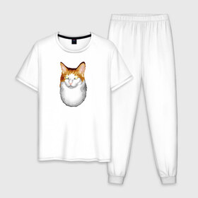 Мужская пижама хлопок с принтом ГНЕГ в Белгороде, 100% хлопок | брюки и футболка прямого кроя, без карманов, на брюках мягкая резинка на поясе и по низу штанин
 | гнег | ирония | котэ | мем | мемы про котов | мета | постирония | прикол | ржака